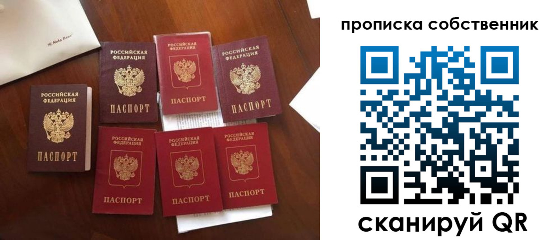 прописка для школы в Грязовце